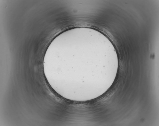 X0000089920433200707271739