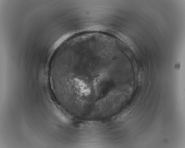 X0000089920436200707271739