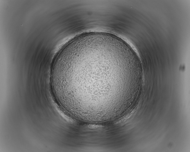 X0000089920437200707271739