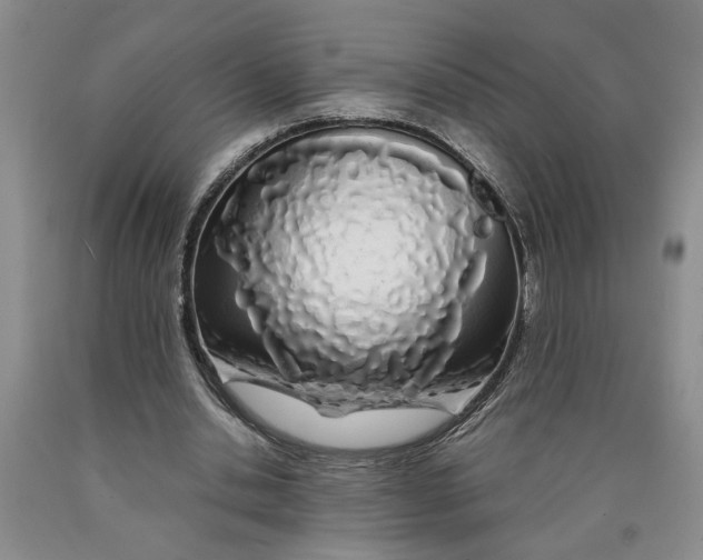 X0000089920438200707271739