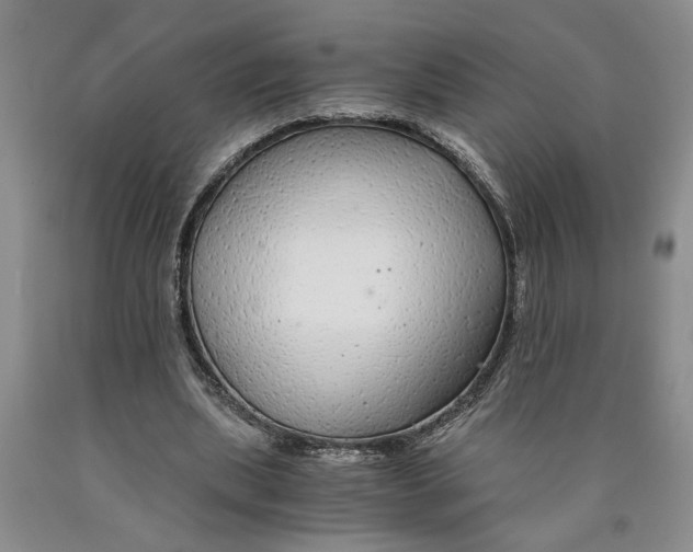 X0000089920439200707271739