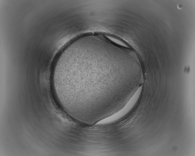 X0000089920440200707271739