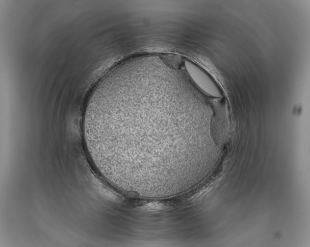 X0000089920441200707271739