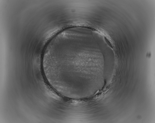 X0000089920442200707271739