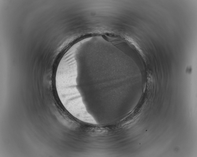 X0000089920443200707271739