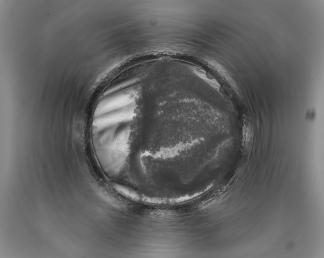 X0000089920444200707271739