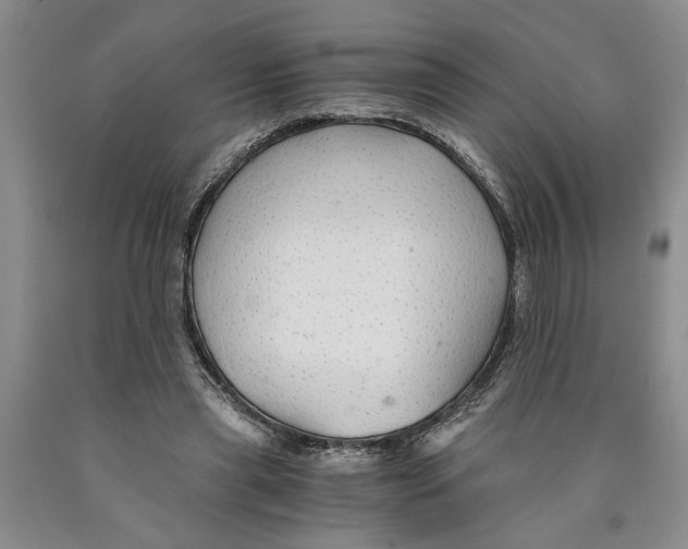 X0000089920445200707271739