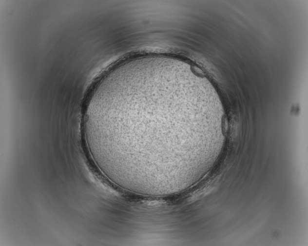 X0000089920446200707271739