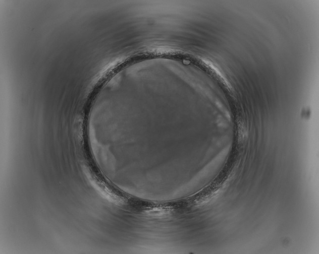 X0000089920447200707271739