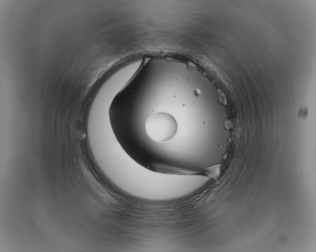 X0000089920448200707271739