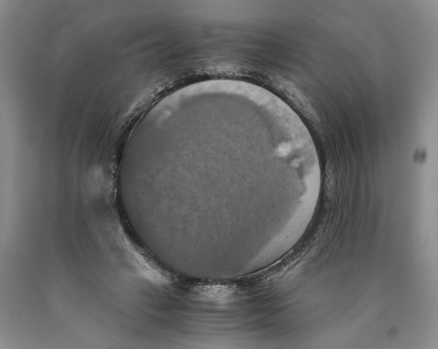 X0000089920449200707271739