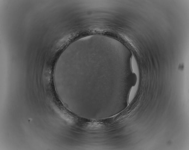 X0000089920451200707271739