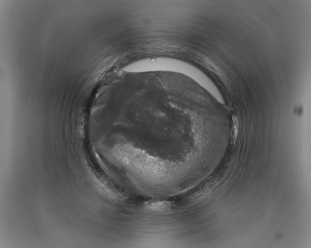 X0000089920452200707271739