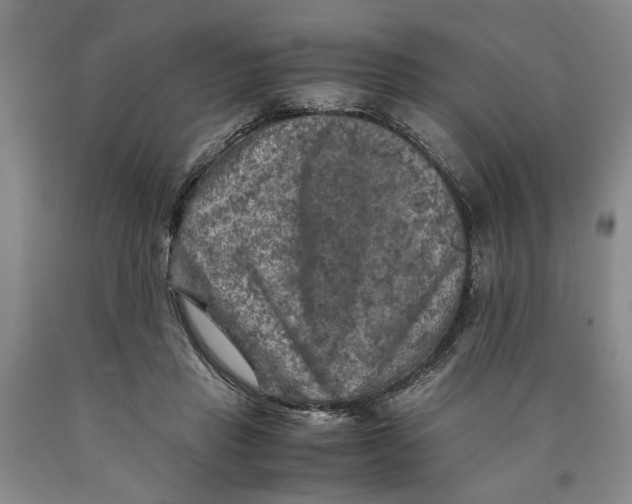 X0000089920453200707271739