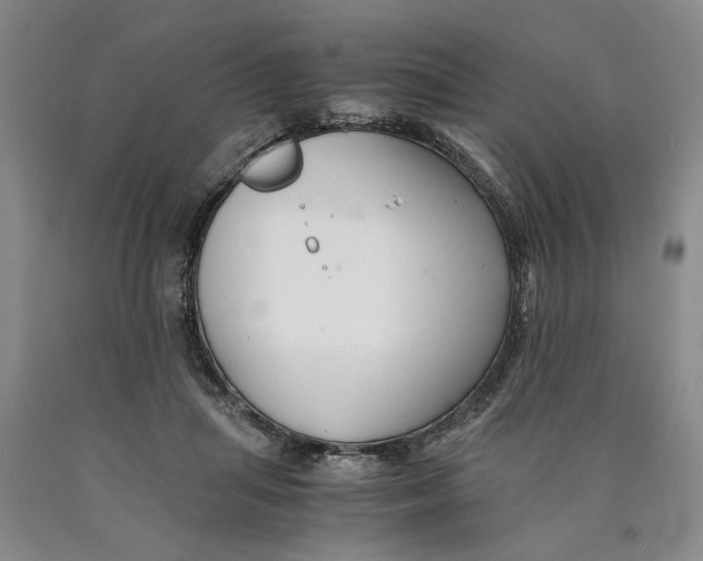 X0000089920455200707271739