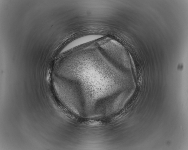 X0000089920456200707271739