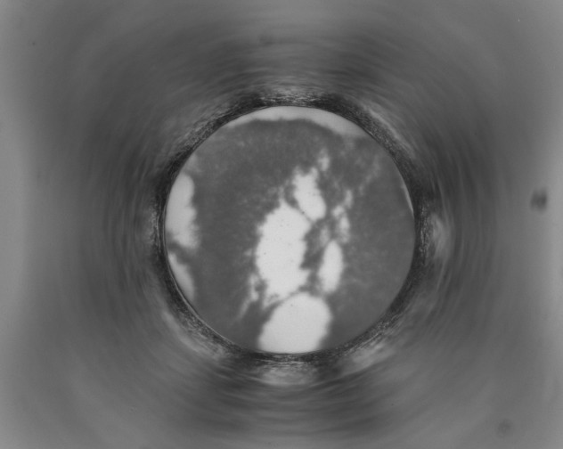 X0000089920459200707271739