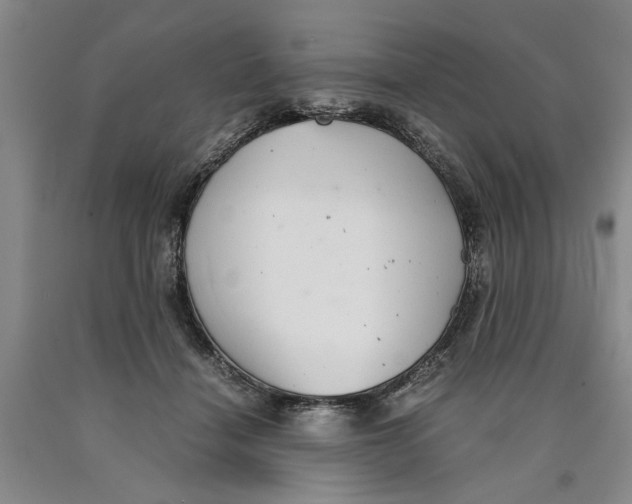 X0000089920460200707271739