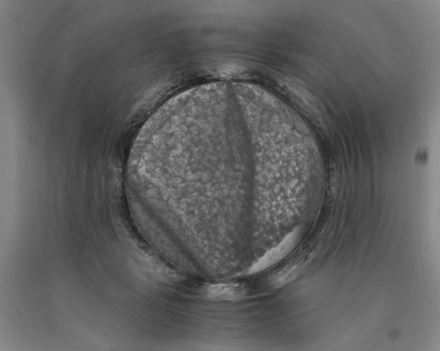 X0000089920461200707271739