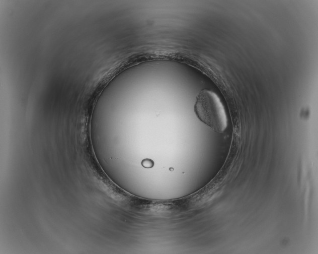 X0000089920462200707271739