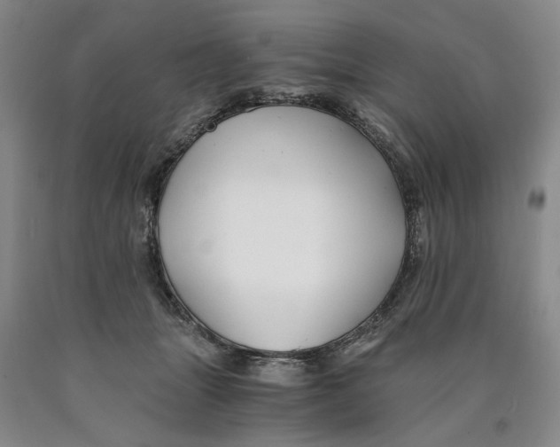 X0000089920463200707271739