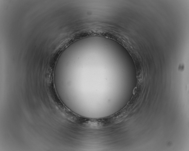 X0000089920464200707271739