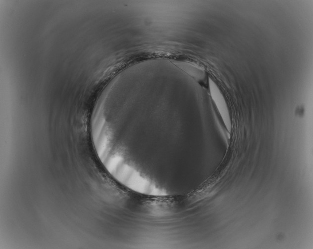 X0000089920466200707271739