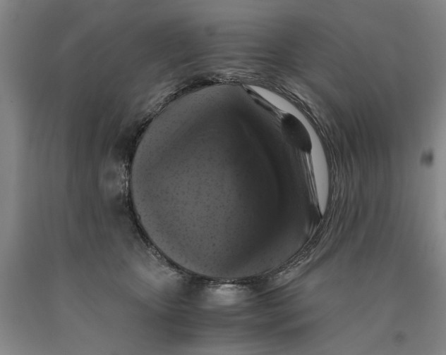 X0000089920467200707271739