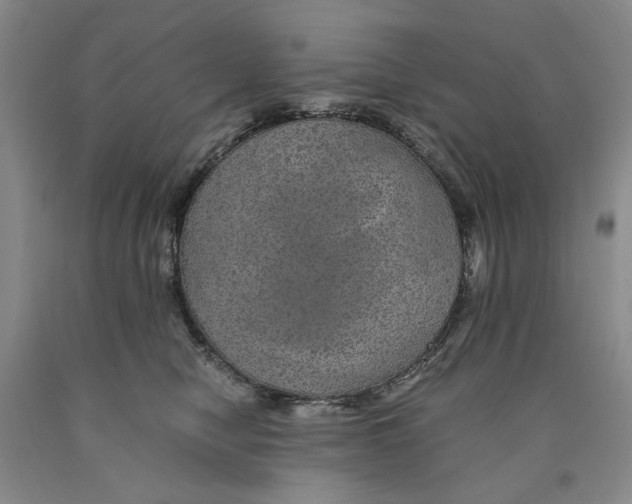 X0000089920470200707271740