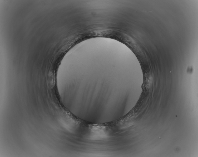 X0000089920471200707271740