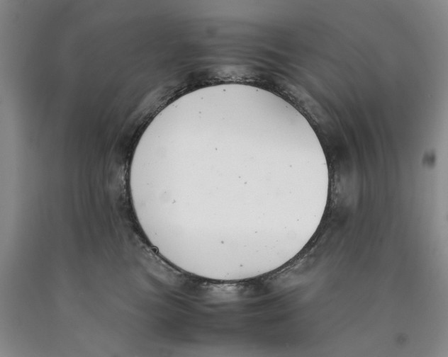 X0000089920473200707271740