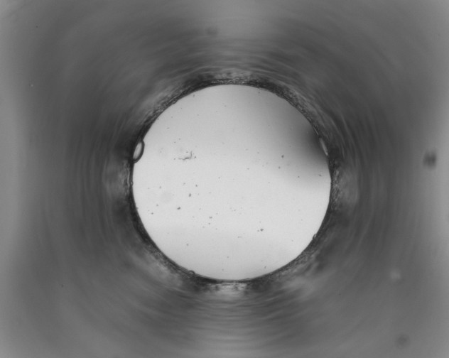 X0000089920474200707271740