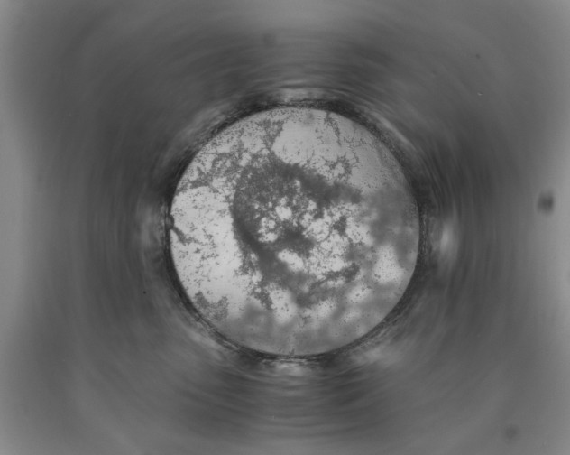 X0000089920475200707271740