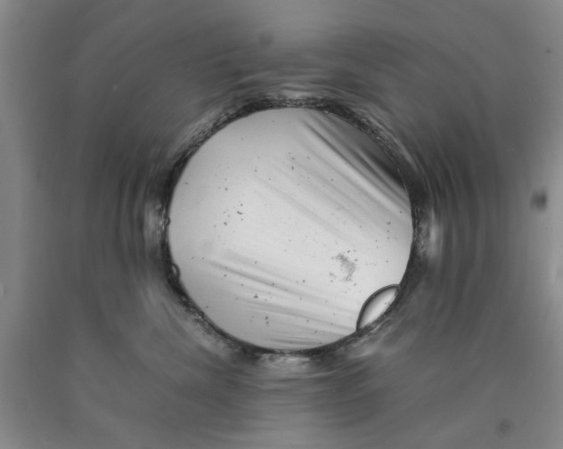 X0000089920476200707271740