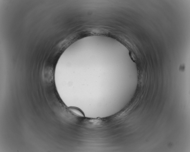 X0000089920478200707271740