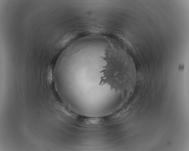 X0000089920479200707271740