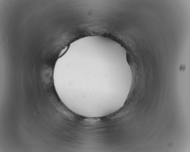 X0000089920480200707271740