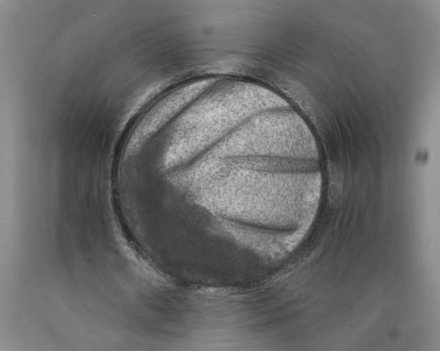 X0000089920482200707271739