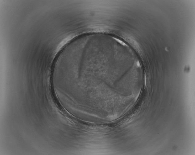 X0000089920483200707271739