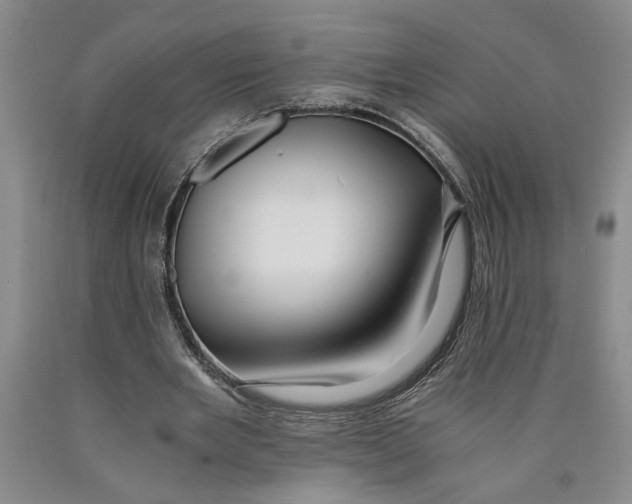 X0000089920485200707271739