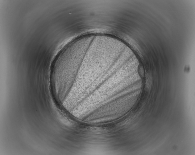 X0000089920486200707271739