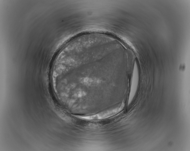 X0000089920487200707271739