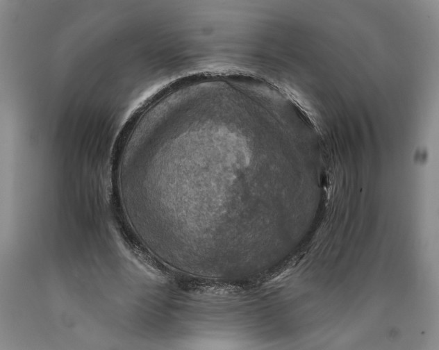 X0000089920488200707271739