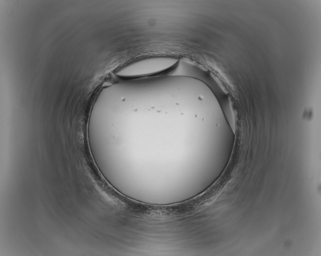 X0000089920489200707271739