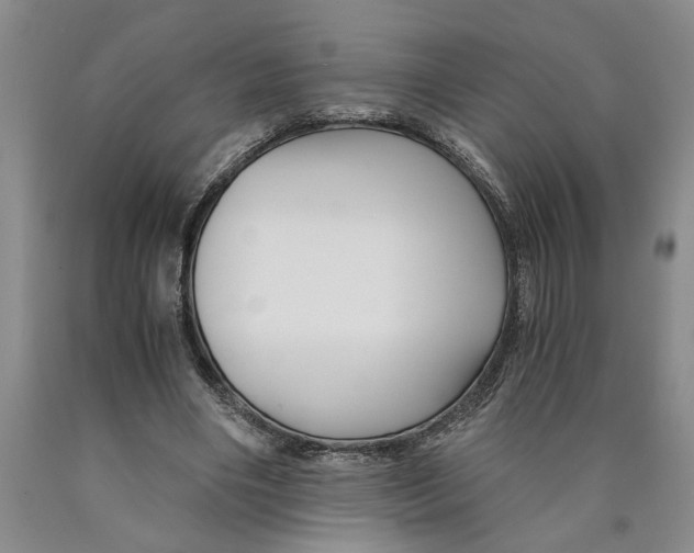 X0000089920490200707271739