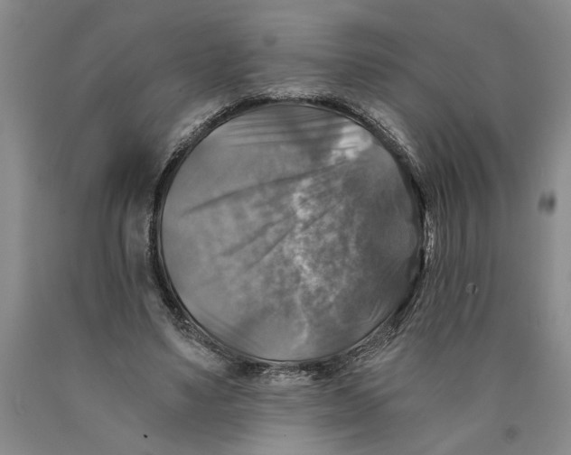 X0000089920491200707271739