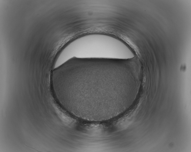 X0000089920493200707271739