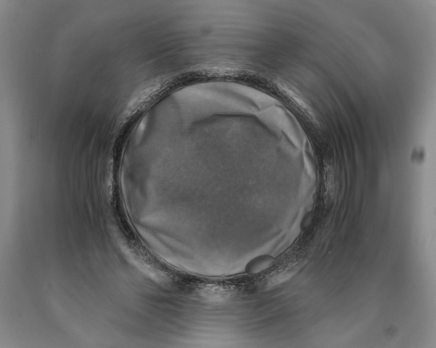 X0000089920494200707271739