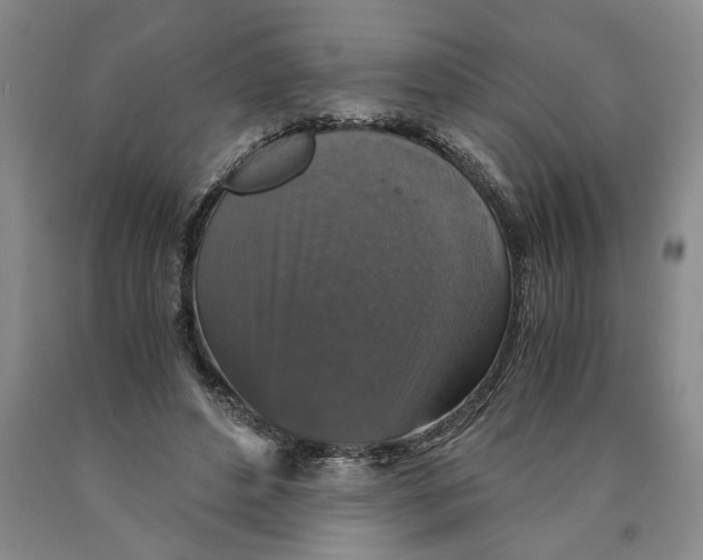 X0000089920496200707271739