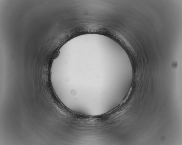 X0000089920497200707271739